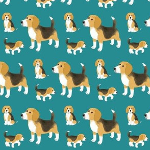 Petits beagles