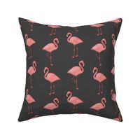 Bimini Bay Flamingos on Charcoal