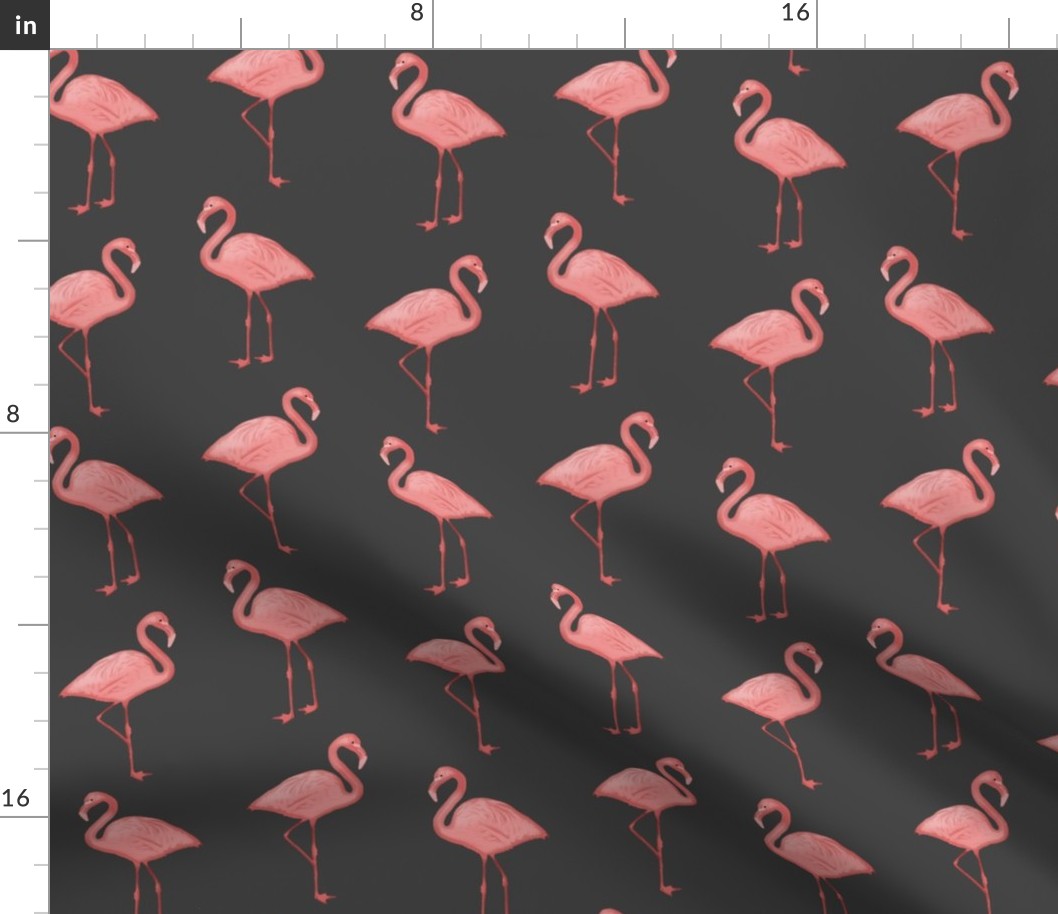 Bimini Bay Flamingos on Charcoal