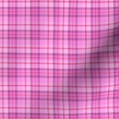 Pink Red Plaid (SMALL)