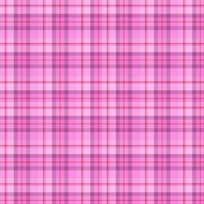 Pink Red Plaid (SMALL)