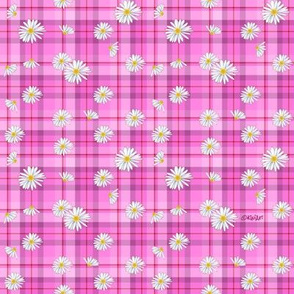 Pink Red Daisy Craze (SMALL)