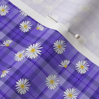 Purple Daisy Craze (SMALL)