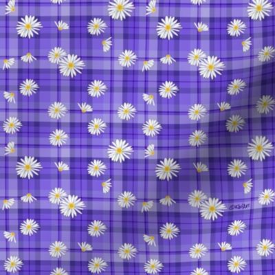 Purple Daisy Craze (SMALL)