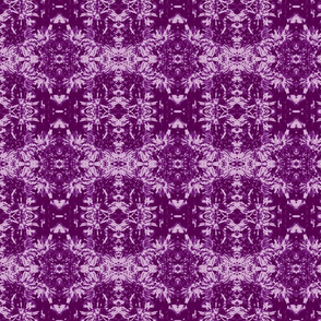 Raspberry Ice tone-on-tone_purple_asters_9_24_07_005-ch-ch