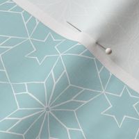 Rustic Star on Soft Blue