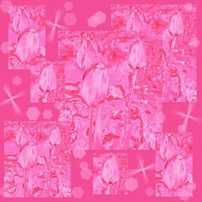 Pink Tulip Montage