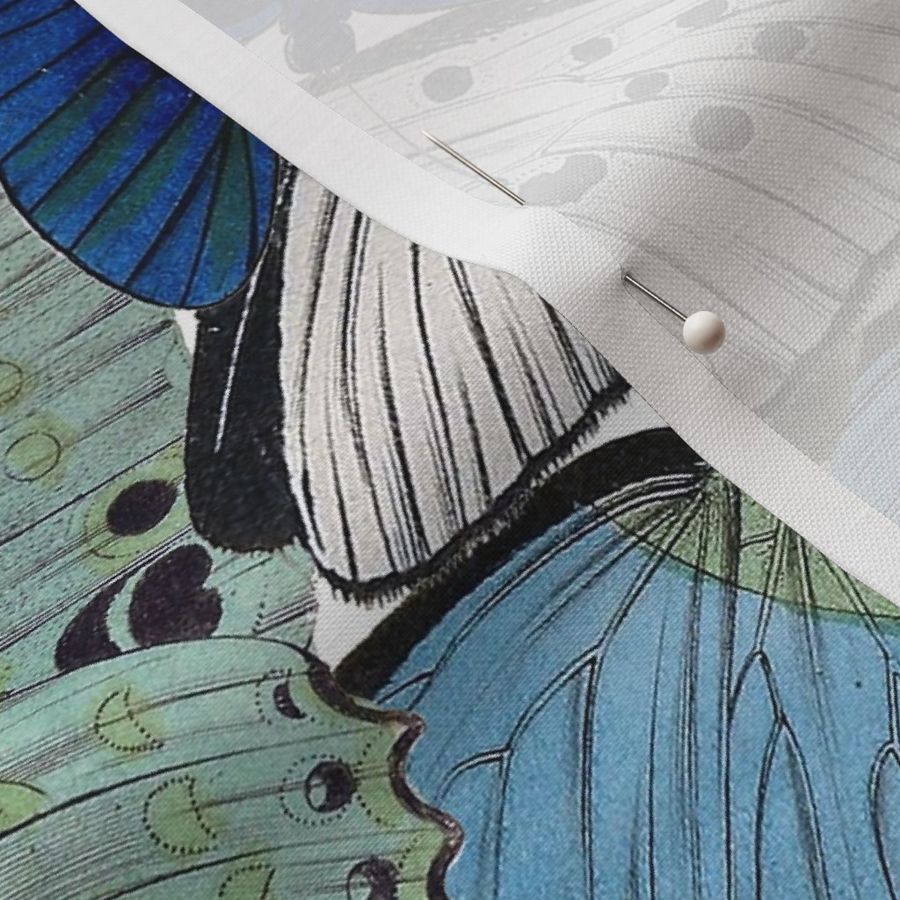 Butterfly Pattern Fabric | Spoonflower