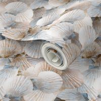 Tan Scallop Shells