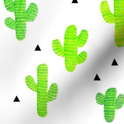 Cactus & Triangles