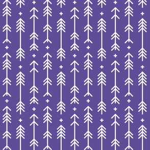 cross plus arrows purple