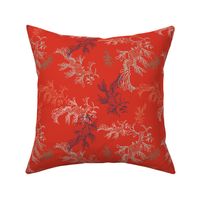 leafy sea dragons in red