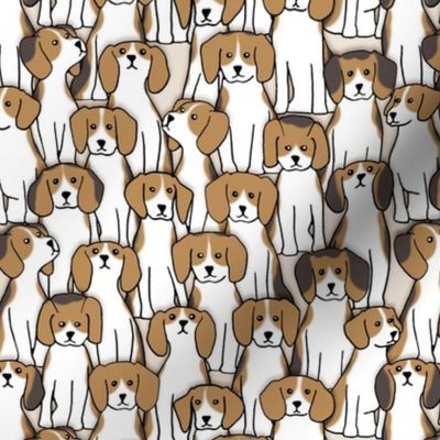 101 beagles