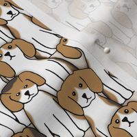 101 beagles
