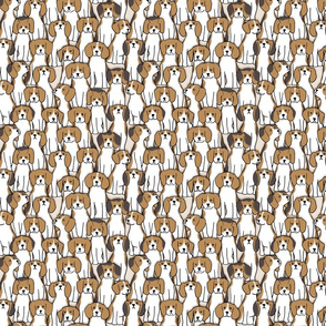 101 beagles