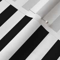 white black stripes