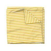 white yellow stripes