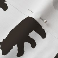 Black Bear on White