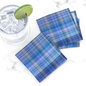 Dark Blue Plaid 2