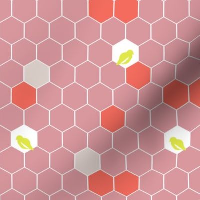 Bold Bird Hexies