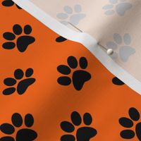 Pawprint on orange