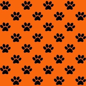 Pawprint on orange