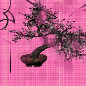 Cherry Blossom Bonsai Tree