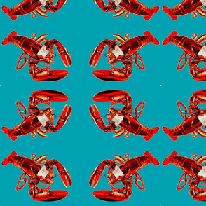 lobster-164479_1280-ed-ch-ch