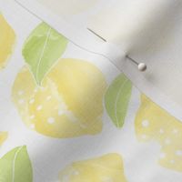 Lemons on white