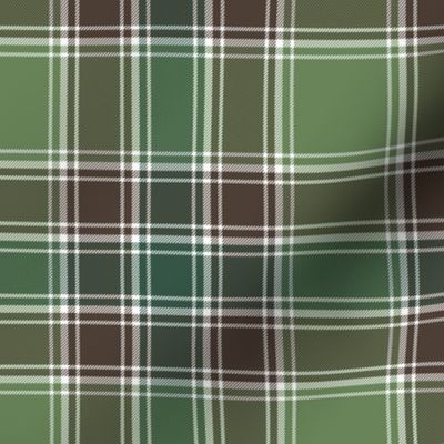 MacDonald hunting tartan, 6"ancient colors