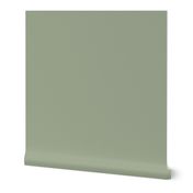 solid sage green