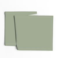 solid sage green