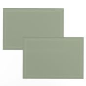 solid sage green