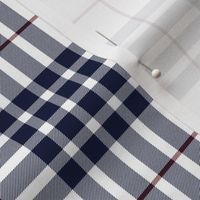 Buchanan dress blue (dance) tartan