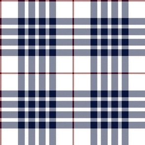 Buchanan dress blue (dance) tartan