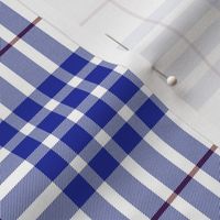 Buchanan dress blue tartan, 4"