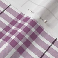 Buchanan dress mauve (dance) tartan, 4"