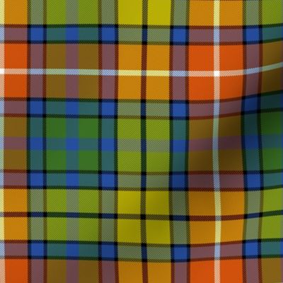 Buchanan 1800 tartan - 6" warm modern colors- Wilson's of Bannockburn