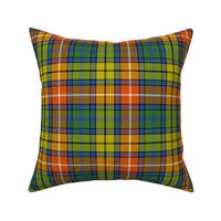 Buchanan 1800 tartan - 6" warm modern colors- Wilson's of Bannockburn