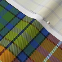 Buchanan 1800 tartan - 6" warm modern colors- Wilson's of Bannockburn