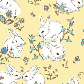 sunshine bunny rabbits