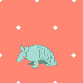 Southwest Armadillo