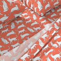 cats // orange coral cat fabric for cat ladies cute illustrated cats