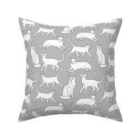 cats // grey cat cute pet cat fabric for cat ladies