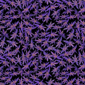 Abstract Purple Indica