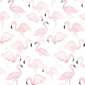 Flamingo Frenzy