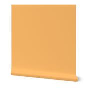 solid Hawaiian yellow-orange (FFBD6B)