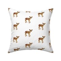 Little Caramel Deer on White