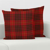 Macdonald of Ardnamurchan tartan, 6", 1842 Vestiarium Scoticum