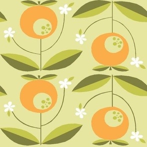 TANG Mid-century oranges